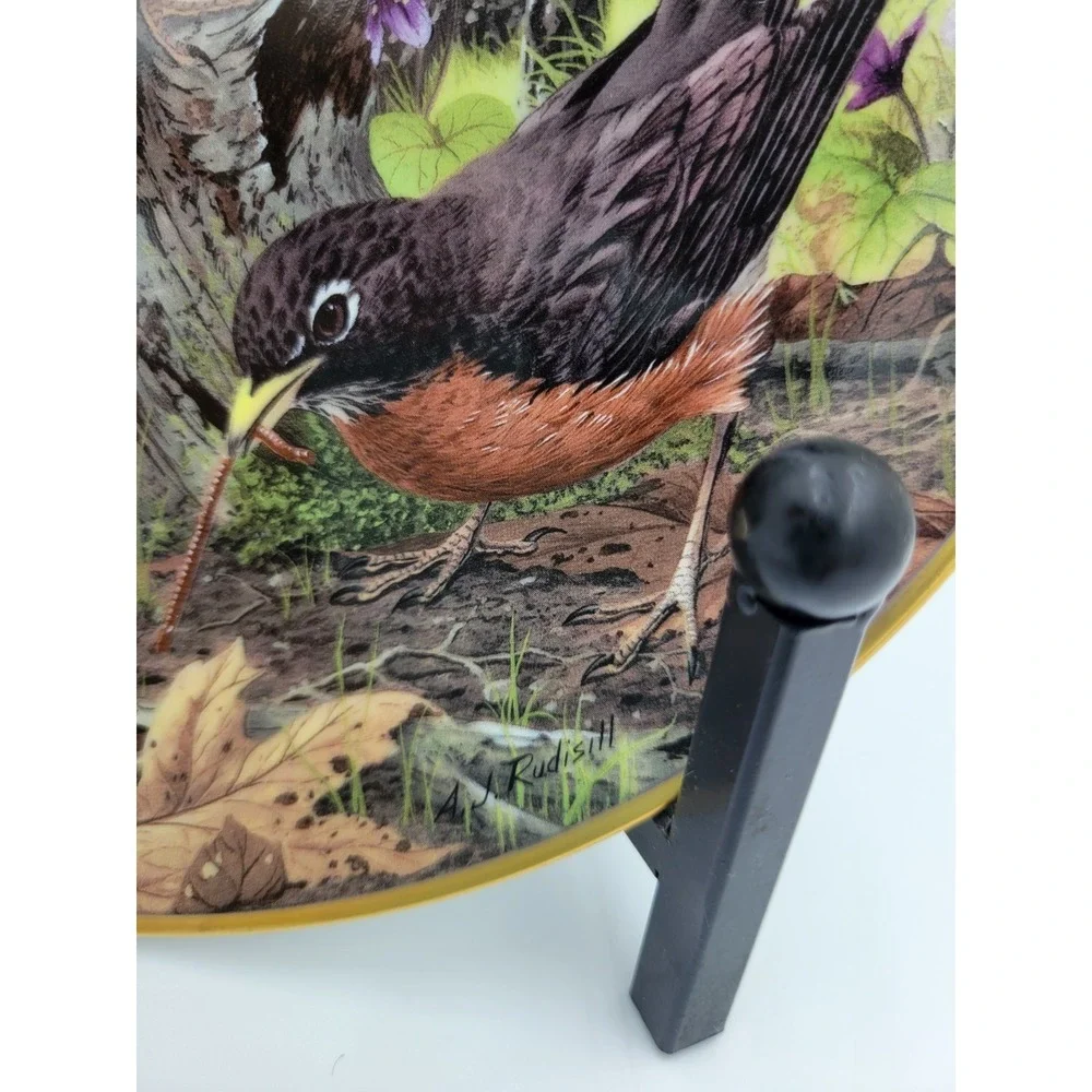 ROBIN HUNTING FOR FOOD Plate A.‎ J. Rudisill National Audubon Society Flowers